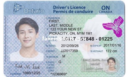 Ontario Fake Id