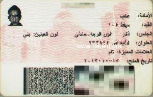 Syria Fake Id