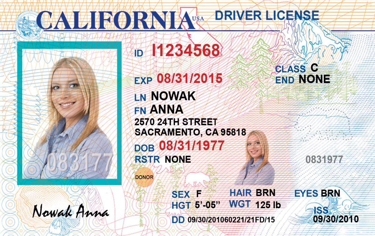 California Fake Driving License