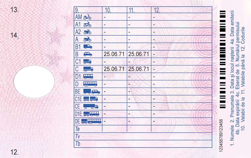 Romania Fake Driving License