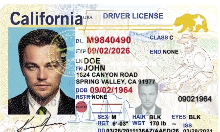 California Fake Driver License New