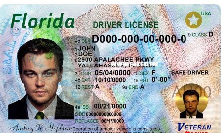 Florida Fake Driver License