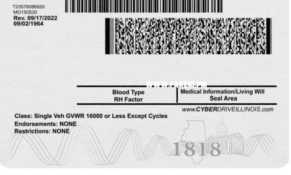 Illinois Fake Driver License V1