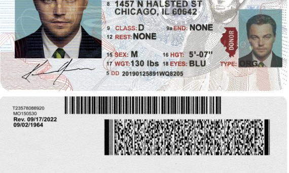 Illinois Fake Driver License V1