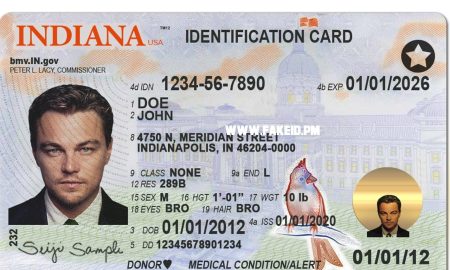 Indiana Fake Driver License