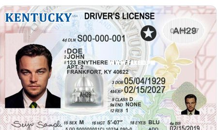 Kentucky Fake Driver License