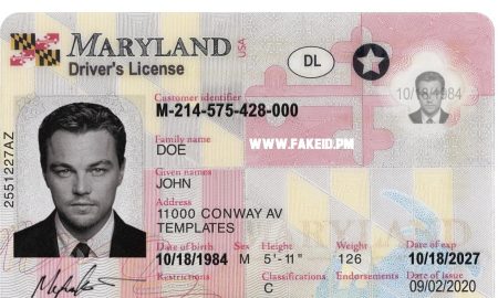 Maryland Fake Driver License V2