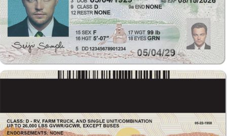 Minnesota Fake Driver License