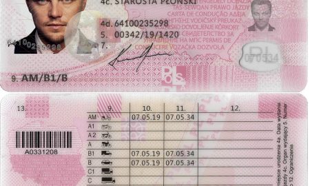 Poland Fake Driver License V1