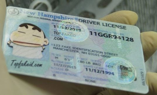 New Hampshire Fake Id Charges