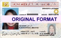 New Mexico Scannable Fake Id Online